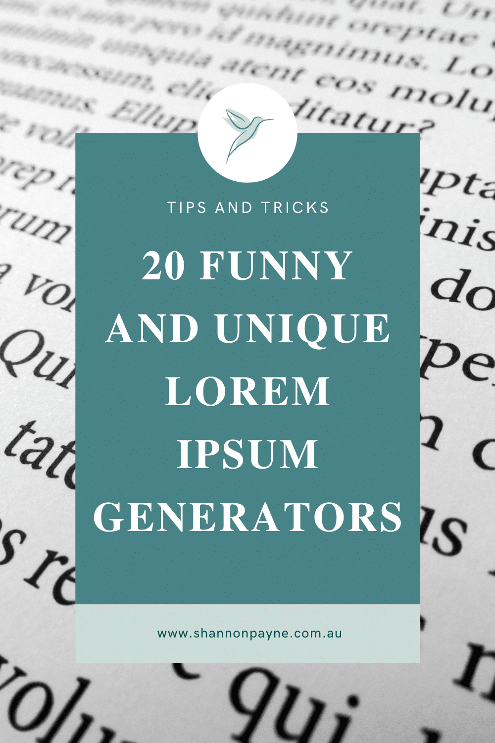 20 Funny Lorem Ipsum Generators | Shannon Payne | WordPress Web Design